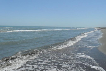 Фотография к новости: Сенатор туризмді дамыту үшін теңіз вокзалын салуды ұсынды