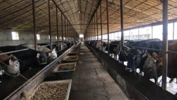 Фотография к новости: Еліміздің әрбір 5-ші шаруа қожалығын әйел басқарады