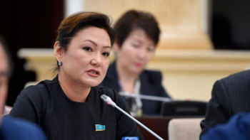 Фотография к новости: Дана Нұржігіт патриоттық тәрбие туралы заң жобасын әзірлеуді ұсынды