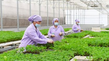 Фотография к новости: Министр алдағы 5 жылда құрылатын жұмыс орындарының 80%-ы ауыл әйелдеріне бұйыратынын айтты