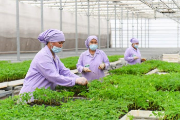 Фотография к новости: Министр алдағы 5 жылда құрылатын жұмыс орындарының 80%-ы ауыл әйелдеріне бұйыратынын айтты