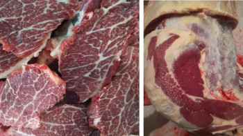 Фотография к новости: Жылқыдан мәрмәр ет алу ұсынылды