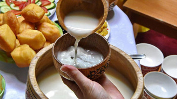 Фотография к новости: Құрманғазының күйі бие сүтін көбейтеді