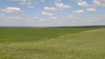 Фотография к новости: Жайылым жердің 46 пайызы тозып кеткен – ғалым