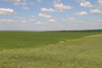 Фотография к новости: Жайылым жердің 46 пайызы тозып кеткен – ғалым