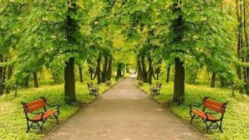 Фотография к новости: «Мыңжылдық» аллеясы елорданың экожүйесін жақсартады