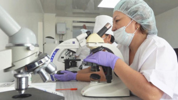 Фотография к новости: Алматыда әзірге ұжымдық иммунитет толық қалыптаспаған