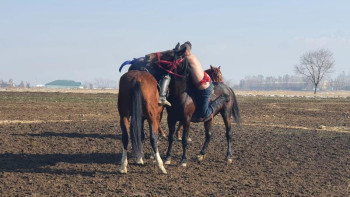 Фотография к новости: Көкпар мен аударыспақтан жасөспірімдер арасындағы ел чемпионаты аяқталды