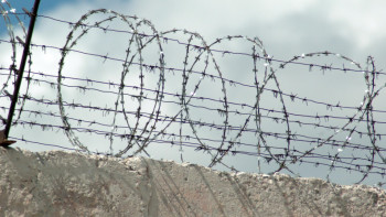 Фотография к новости: Елімізде жаңадан 4 колония салынады