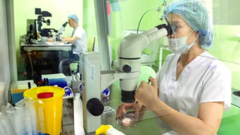 Фотография к новости: ЭКО процедурасына квотаны қалай алуға болады?