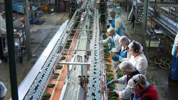 Фотография к новости: Елімізде өңдеу өнеркәсібінің қарқыны қандай?