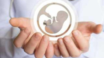 Фотография к новости: Бас репродуктолог: Экоұрықтандыру технологиясы донор қызметіне сұранысты азайтты