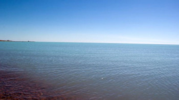 Фотография к новости: Не себепті Балқаш көлінде туризм дамымай отыр? Баталов жауап берді