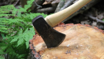 Фотография к новости: Андрей Лукин «Орман кесу» туралы заңнаманы қатаңдатуды ұсынды