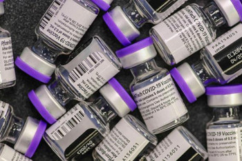 Фотография к новости: Pfizer вакцинасы кімдерге салынбайтыны белгілі болды