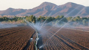Фотография к новости: Соңғы үш жылда 39 мың гектар суармалы жер қайта айналымға қосылды – Баталов