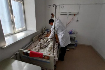 Фотография к новости: Дәрігерлер аттан жығылған көкпаршыны аман алып қалды