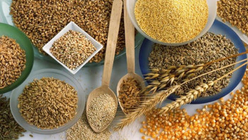 Фотография к новости: Дәнді және майлы дақылдар тұқымдарын сыртқа шығаруға уақытша экспорттық баж белгілеу ұсынылды