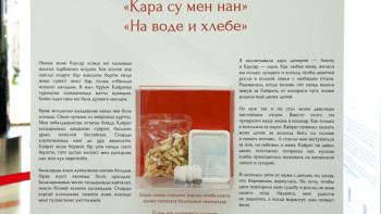 Фотография к новости: Әлемде әр 3-әйел зорлық-зомбылықтың құрбаны. Елордада «Кәдімгі заттар» көрмесі ашылды   