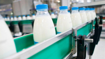 Фотография к новости: Ақмола облысында 119 ет және сүт-тауар фермасы құрылды