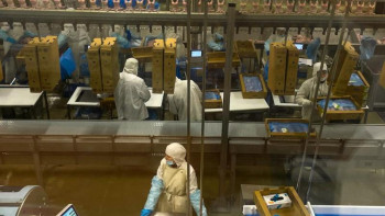 Фотография к новости: Макинск құс фабрикасының даму қарқыны қалай?