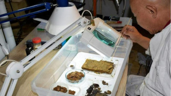 Фотография к новости: Елімізде кітап реставраторлары тапшы – Сырым Ботабеков