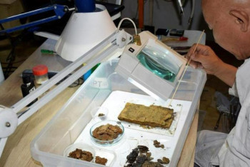 Фотография к новости: Елімізде кітап реставраторлары тапшы – Сырым Ботабеков