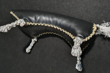 Көкпарда серкенің орнына муляж тартылуы мүмкін