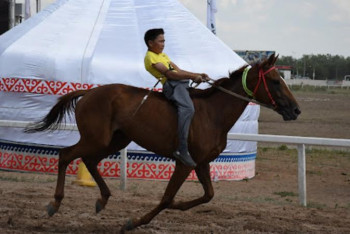 Фотография к новости: Қостанай жылқысы аламан түріне қосылады