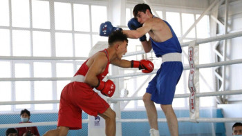 Фотография к новости: Қайрат Рысқұлбековтің құрметіне бокстан ХХ халықаралық турнир өтті