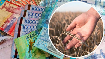 Фотография к новости: Енді субсидиялау процесі онлайн жүргізіледі