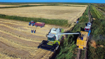 Фотография к новости: Ғарыштық мониторинг. Еліміздегі  ауыл шаруашылығының жерлері қалай бақыланады?