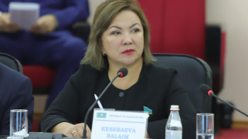 Фотография к новости: Мәжілісте азаматтық қорғау саласындағы проблемалар аталды