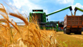 Фотография к новости: Тәуелсіздікке 30 жыл: Ауыл шаруашылығының жетістіктері аталды