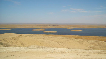 Фотография к новости: Отандық ғалымдар Арал танабына ағаш өсірудің жаңа технологиясын ойлап тапты