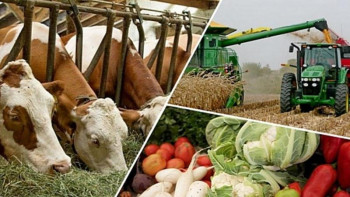 Фотография к новости: Министр ауыл шаруашылығы өндірісі төмендеген өңірлерді атады