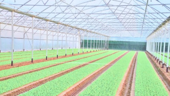 Фотография к новости: Әйтенов: Шымкентте екі агроиндустриялды аймақ ашылады 