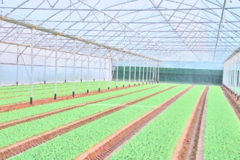 Фотография к новости: Әйтенов: Шымкентте екі агроиндустриялды аймақ ашылады 