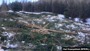 Фотография к новости: Алматы әкімдігі Бутаковка шатқалында кесілген ағаштарға қатысты түсінік берді