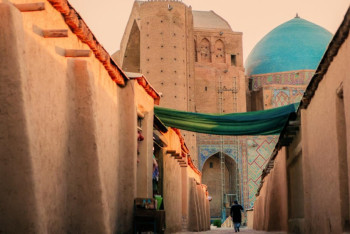 Фотография к новости: Туризм, орташа айлық, су, газ мәселесі – Аюпов жаңа Түркістан жайында