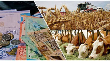 Фотография к новости: Ауыл шаруашылығын субсидиялау жүйесіне реформа жасалады