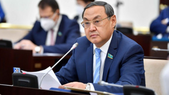 Фотография к новости: Өзіміздің жасыл шыршалар сатылып жатқан жоқ па? – Депутат бір күндік қызық үшін кесілген ағаштар туралы айтты