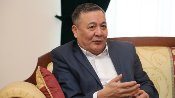 Фотография к новости: Дос Көшім: Белгілі бір ұйымдастырушылары, нақты стратегиясы, талабы жоқ шеру ұзаққа бармайды