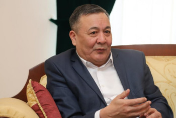 Фотография к новости: Дос Көшім: Белгілі бір ұйымдастырушылары, нақты стратегиясы, талабы жоқ шеру ұзаққа бармайды