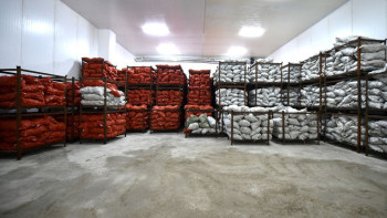 Фотография к новости: ТЖ: Елде азық-түлік қоры жеткілікті