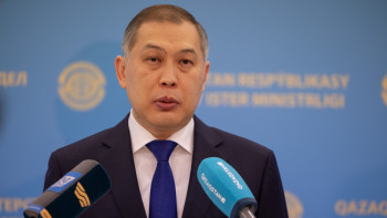 Фотография к новости: Шетелден қанша қазақстандық елге орала алмай отыр?