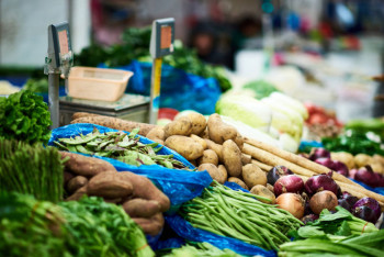 Фотография к новости: Ақмола облысына азық-түлік делдалсыз жеткізіледі