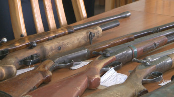 Фотография к новости: Қаруды заңсыз сақтағандар қылмыстық жауапкершілікке тартылады - ІІМ