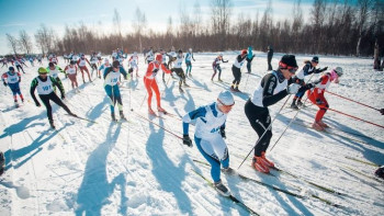Фотография к новости: Жарасбаев: Қысқы спорт түрлерінің дамуына басқаша көзқарас қалыптастыру керек