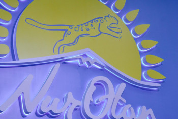 Фотография к новости: Партия төрағасының бірінші орынбасарының орнына атқарушы хатшы қызметін қарастыру керек – Тоқаев